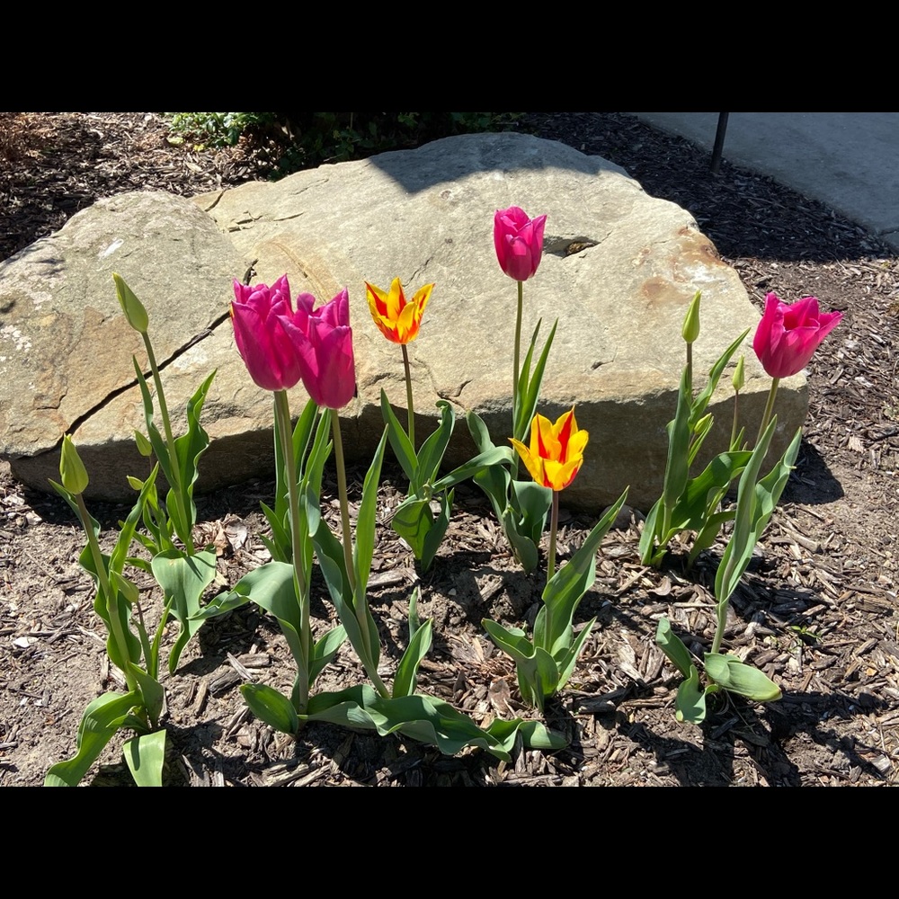 Meet your Posher, Christine